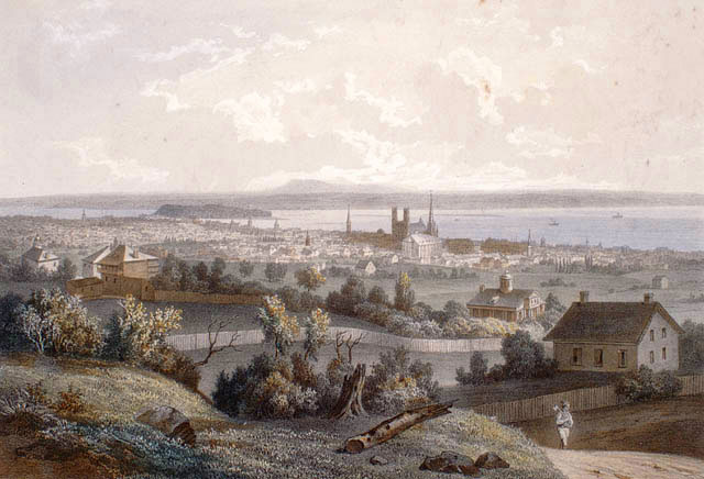 Vue de Montréal du mont Royal