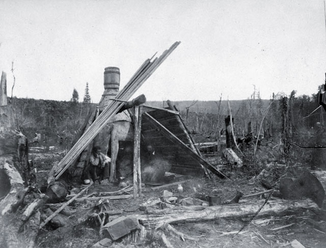 Campement lors d'une expédition d’arpentage 
